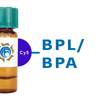 Bauhinia purpurea Lectin (BPL/BPA) - Cy5