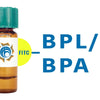 Bauhinia purpurea Lectin (BPL/BPA) - FITC (Fluorescein)