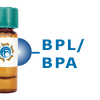 Bauhinia purpurea Lectin (BPL/BPA) - Separopore&reg; 4B