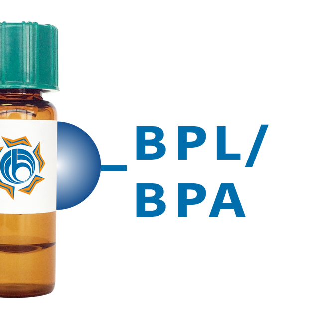Bauhinia purpurea Lectin (BPL/BPA) - Separopore® 4B