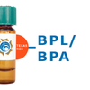 Bauhinia purpurea Lectin (BPL/BPA) - Texas Red