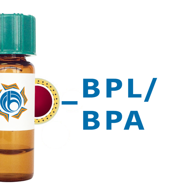 Bauhinia purpurea Lectin (BPL/BPA) - Colloidal Gold