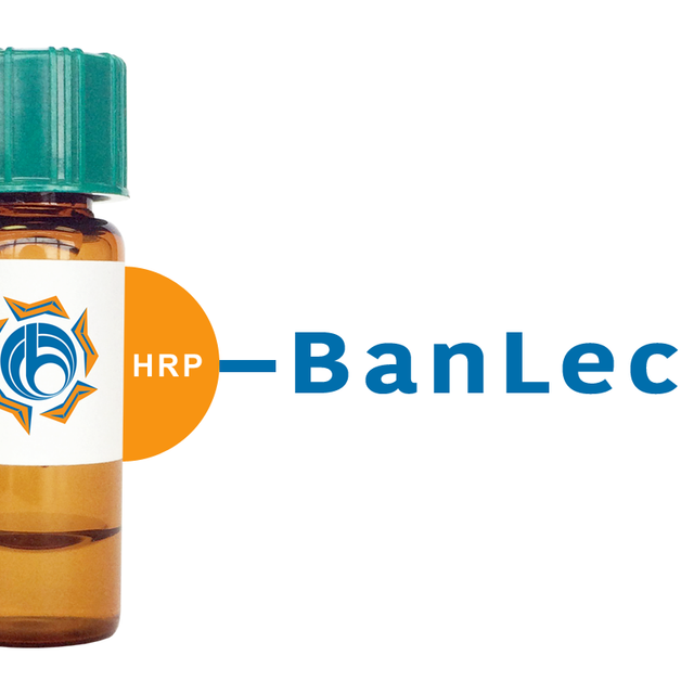 Musa paradisiaca Lectin (BanLec) - HRP (Horseradish Peroxidase)