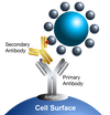 bioSORT Biotinylated Sheep Anti-Mouse IgG MagneZoom&trade; Kit