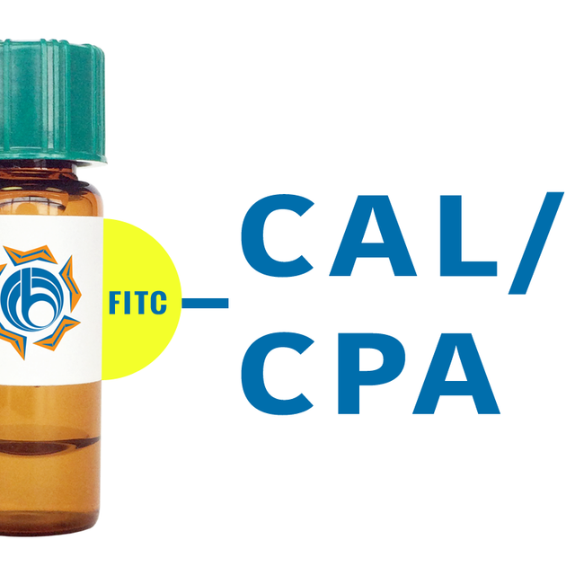 Cicer arietinum Lectin (CAL/CPA) - FITC (Fluorescein)