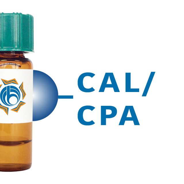 Cicer arietinum Lectin (CAL/CPA) - Separopore® 4B