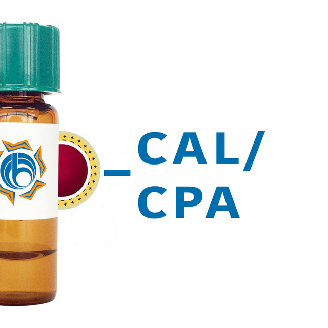 Cicer arietinum Lectin (CAL/CPA) - Colloidal Gold