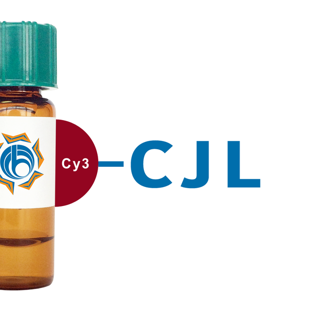 Crotalaria juncea Lectin (CJL) - Cy3