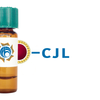 Crotalaria juncea Lectin (CJL) - Colloidal Gold