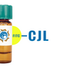 Crotalaria juncea Lectin (CJL) - FITC (Fluorescein)