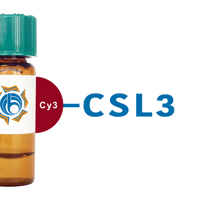 Oncorhynchus keta Lectin (CSL3) - Cy3