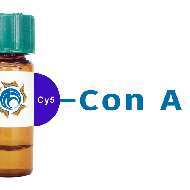 Concanavalin A Lectin (Con A) - Cy5
