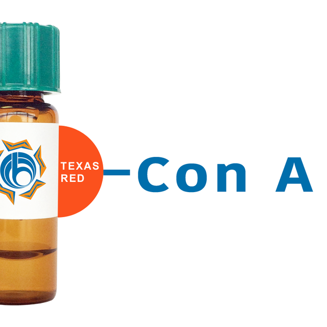 Concanavalin A Lectin (Con A) - Texas Red