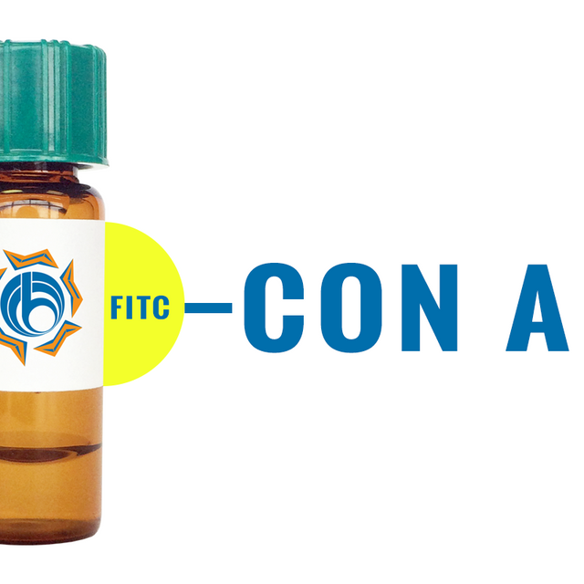 Concanavalin A Lectin (Con A) - FITC (Fluorescein)
