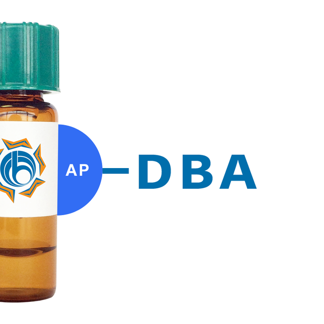 Dolichos biflorus Lectin (DBA) - AP (Alkaline Phosphatase)