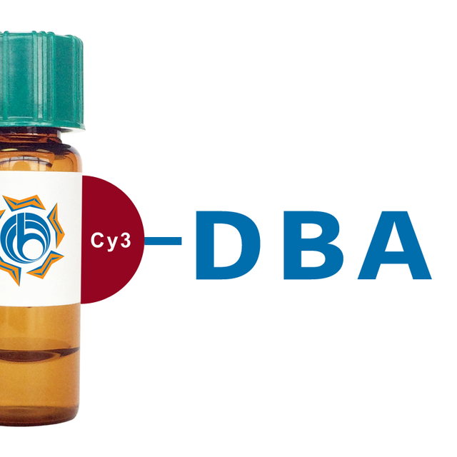 Dolichos biflorus Lectin (DBA) - Cy3