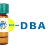 Dolichos biflorus Lectin (DBA) - FITC (Fluorescein)