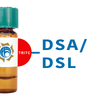Datura stramonium Lectin (DSA/DSL) - TRITC (Rhodamine)