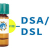 Datura stramonium Lectin (DSA/DSL) - FITC (Fluorescein)