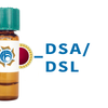 Datura stramonium Lectin (DSA/DSL) - Colloidal Gold