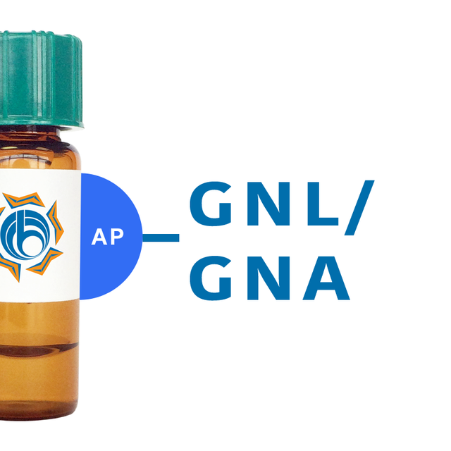 Galanthus nivalis Lectin (GNL/GNA) - AP (Alkaline Phosphatase)