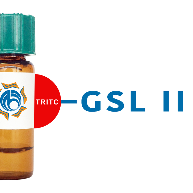 Griffonia simplicifolia Lectin (GSL II) - TRITC (Rhodamine)