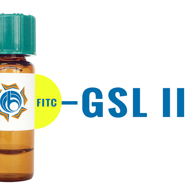 Griffonia simplicifolia Lectin (GSL II) - FITC (Fluorescein)