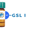 Griffonia simplicifolia Lectin (GSL I) - AP (Alkaline Phosphatase)
