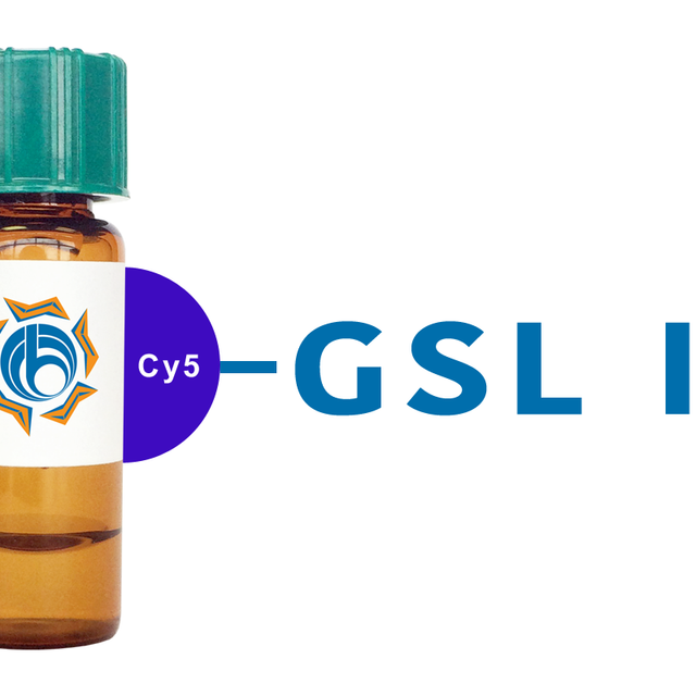 Griffonia simplicifolia Lectin (GSL I) - Cy5