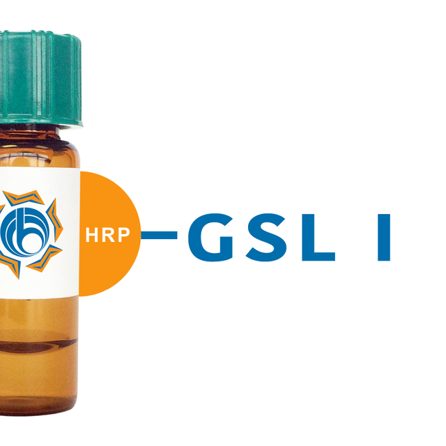 Griffonia simplicifolia Lectin (GSL I) - HRP (Horseradish Peroxidase)