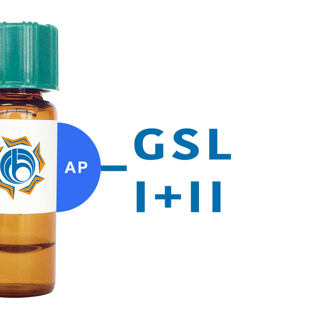 Griffonia simplicifolia Lectin (GSL I+II) - AP (Alkaline Phosphatase)