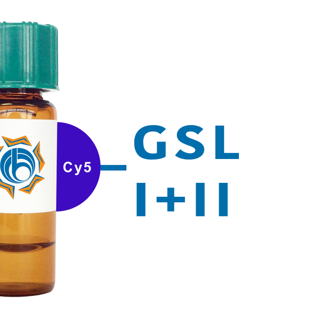 Griffonia simplicifolia Lectin (GSL I+II) - Cy5