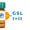 Griffonia simplicifolia Lectin (GSL I+II) - HRP (Horseradish Peroxidase)