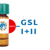 Griffonia simplicifolia Lectin (GSL I+II) - TRITC (Rhodamine)