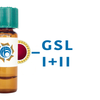 Griffonia simplicifolia Lectin (GSL I+II) - Colloidal Gold