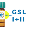 Griffonia simplicifolia Lectin (GSL I+II) - FITC (Fluorescein)
