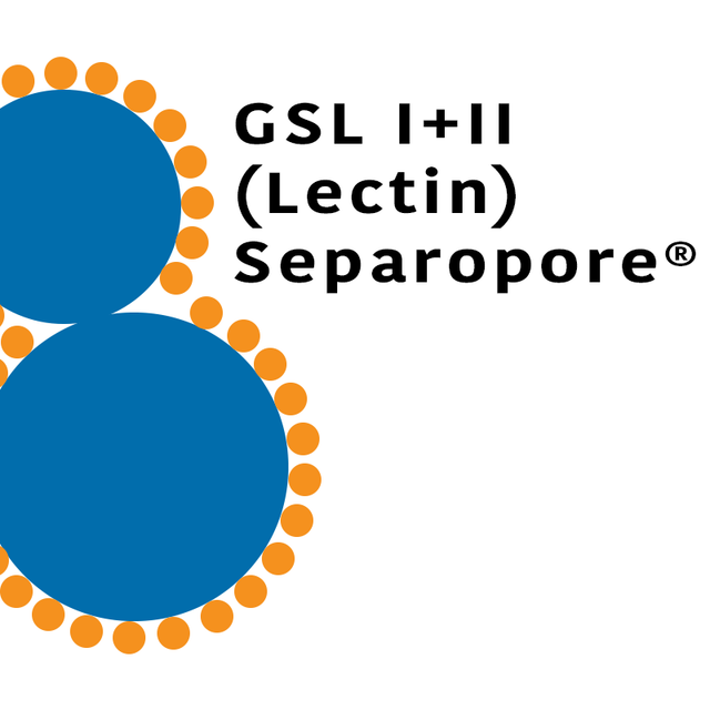 Griffonia simplicifolia Lectin (GSL I+II) - Macrobeads