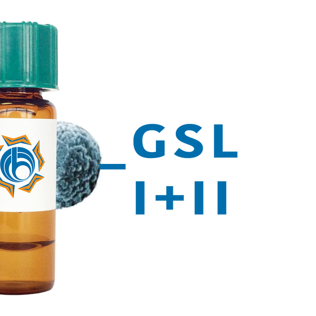 Griffonia simplicifolia Lectin (GSL I+II) - MagneZoom™