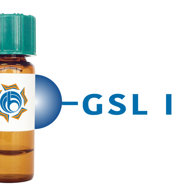 Griffonia simplicifolia Lectin (GSL I) - Separopore® 4B