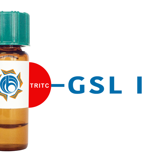 Griffonia simplicifolia Lectin (GSL I) - TRITC (Rhodamine)