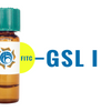 Griffonia simplicifolia Lectin (GSL I) - FITC (Fluorescein)