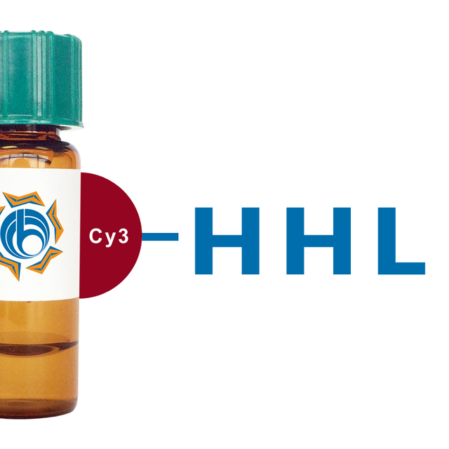 Hippeastrum hybrid Lectin (HHL) - Cy3