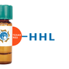Hippeastrum hybrid Lectin (HHL) - Texas Red
