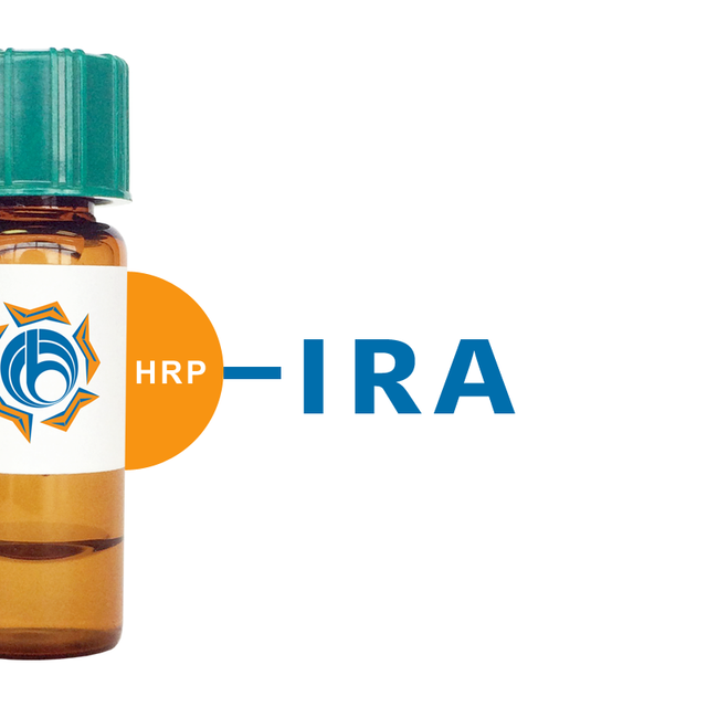 Iris hybrid Lectin (IRA) - HRP (Horseradish Peroxidase)