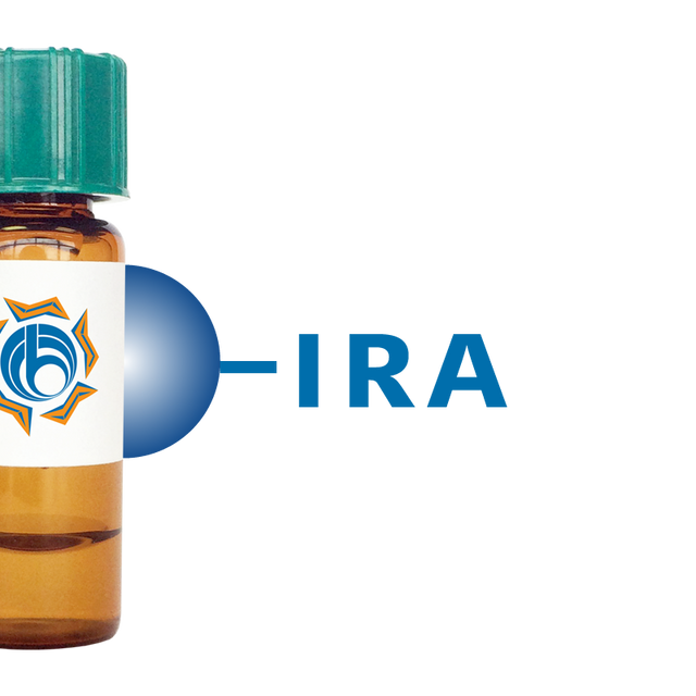 Iris hybrid Lectin (IRA) - Separopore® 4B