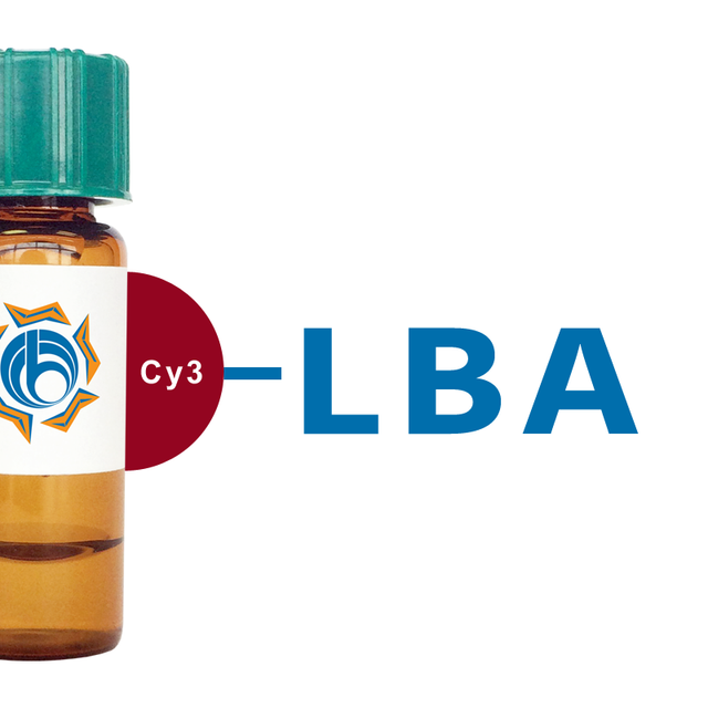 Phaseolus limensis Lectin (LBA) - Cy3