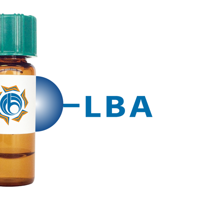 Phaseolus limensis Lectin (LBA) - Separopore® 4B
