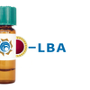 Phaseolus limensis Lectin (LBA) - Colloidal Gold
