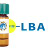 Phaseolus limensis Lectin (LBA) - FITC (Fluorescein)