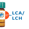Lens culinaris Lectin (LCA/LCH) - Texas Red